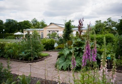 Örtagården med Gamla orangeriet i bakgrunden. Foto: Eva Dalin