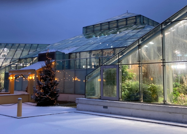 Exteriör Edvard Andersons växthus på vintern.