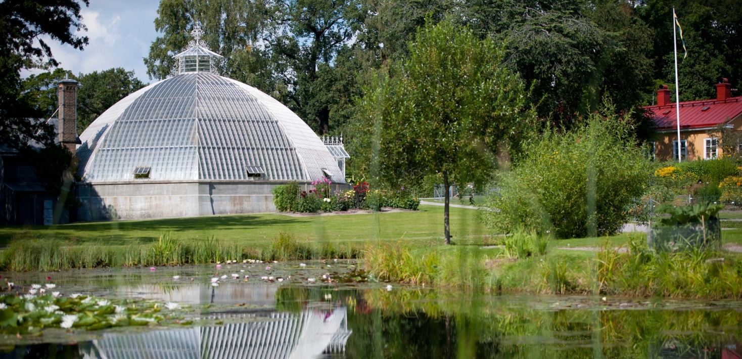 Ett kupolformat växthus, med en damm framför. 