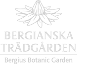 Logotyp Bergianska trädgården
