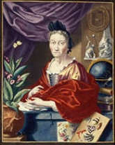 Maria Sibylla Merian in Erucarum ortus.