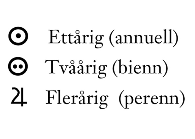 Symboler för ettårig, tvååring och flerårig växt, så som de visas på växtskyltar.