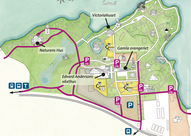 Map of the Bergius Botanic Garden