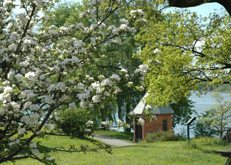 Blommande träd i förgrunden, utsikt mot vatten och liten rund tegelbyggnad.