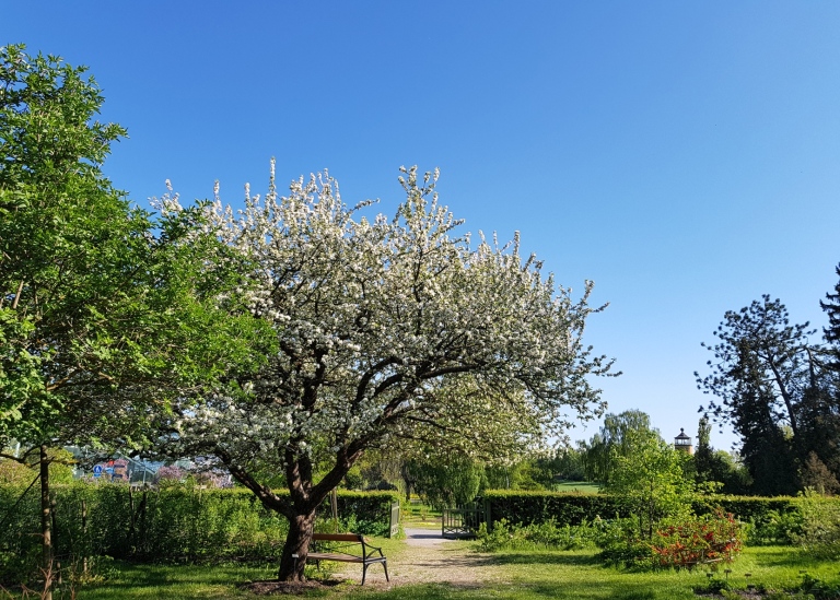 Frukt och bärträdgården