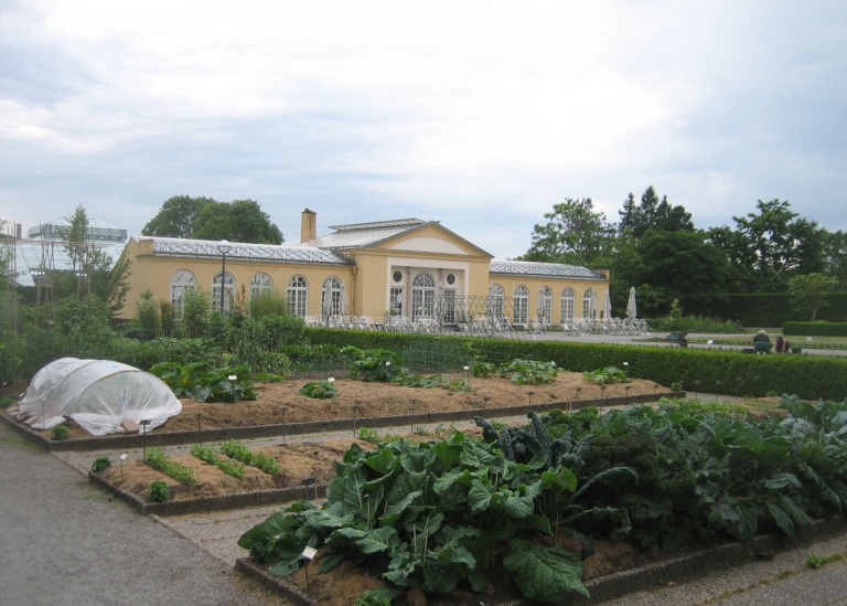 Sommarbild på Gamla orangeriet